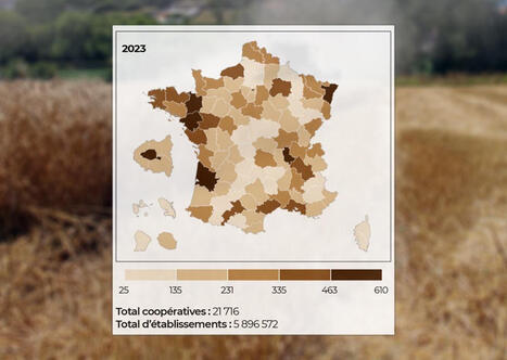 Coop&eacute;ratives : un mod&egrave;le non d&eacute;localisable et ancr&eacute; dans les territoires | "Sur mesure" : l'actualit&eacute; du cabinet | Scoop.it