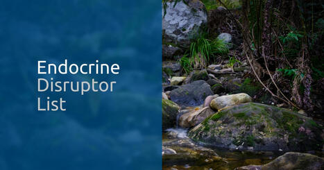 Mise à jour des listes des perturbateurs endocriniens | Endocrine Disruptor List | Prévention du risque chimique | Scoop.it