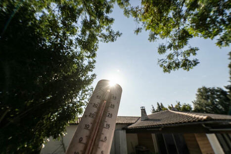 Ustaritz : plan canicule et collecte de sang au cœur des actions du CCAS | BABinfo Pays Basque | Scoop.it