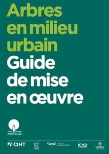 Arbres en milieu urbain : Guide de mise en oeuvre | ECOLOGIE - ENVIRONNEMENT | Scoop.it