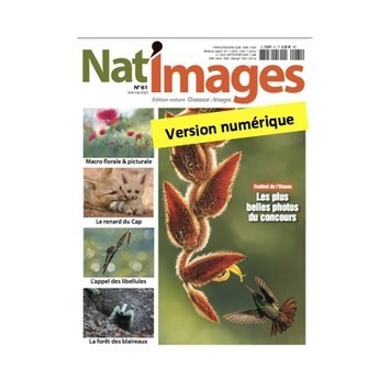 Nat'Images numérique n°61 - Avril-mai 2020 | Variétés entomologiques | Scoop.it
