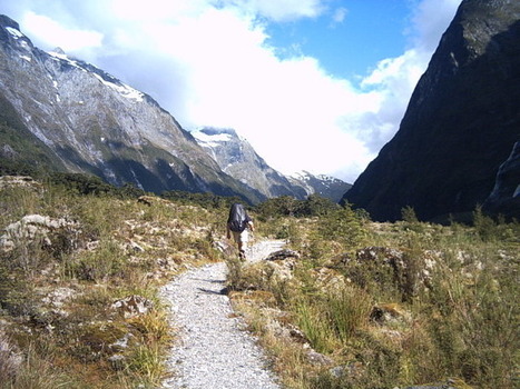 A Dream Come True: Trekking the Milford Track in New Zealand | Trekking | Scoop.it