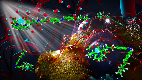 Vers une photoactivation sans limite de profondeur dans le corps par radioth&eacute;rapie pour envisager des actions th&eacute;rapeutiques nouvelles dans le traitement du cancer | Life Sciences Universit&eacute; Paris-Saclay | Scoop.it