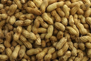L’UE rejette l’arachide du Sénégal | Questions de développement ... | Scoop.it