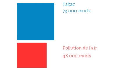 Avec 48 000 morts par an en France, la pollution de l’air tue plus que l’alcool | Vers la transition des territoires ! | Scoop.it
