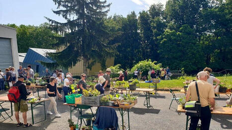 Nature en fête dévoile son programme d’animations à Rezé - Ouest France | Agriculture et communication positive | Scoop.it