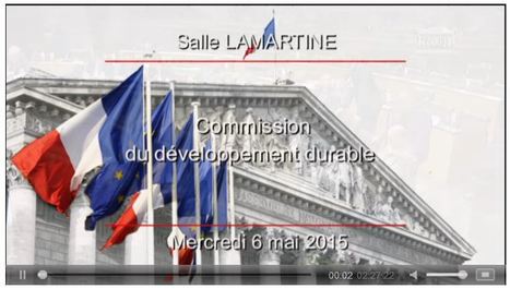 Table ronde sur l'apiculture et les n&eacute;onicotino&iuml;des - Vid&eacute;os.Assembl&eacute;e nationale | EntomoNews | Scoop.it