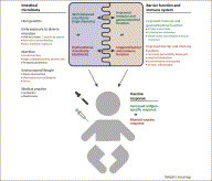 Influence of the microbiota on vaccine effectiveness | Immunology for University Students | Scoop.it