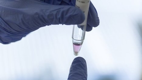 Suisse: premi&egrave;res d&eacute;marches d'enfants n&eacute;s d'un don de sperme | Bio&eacute;thique & Procr&eacute;ation | Scoop.it