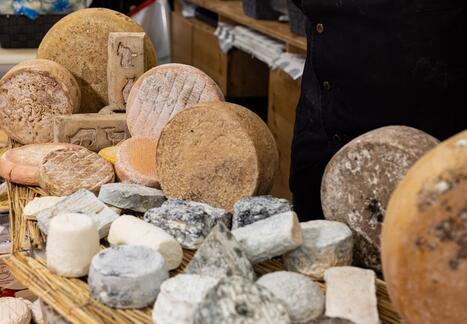 Rappel de 40 lots de fromages, deux décès... Ce que l’on sait de la possible contamination à la listeria | Politiques publiques et société | Scoop.it