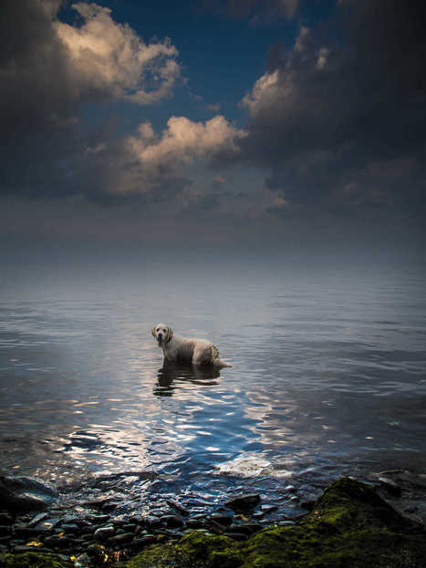 Calm Before the Storm por russty | My Photo | Scoop.it