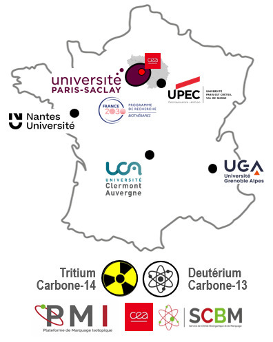FOCUS PLATEFORME : Le marquage isotopique sur Paris-Saclay : retour partiel sur une ann&eacute;e d&rsquo;activit&eacute;s riches et vari&eacute;es | Life Sciences Universit&eacute; Paris-Saclay | Scoop.it