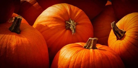 The Scariest Part of Halloween? A Billion Pounds of Pumpkin Waste | Industry 411 - Waste Management | Scoop.it