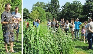 [Phytoépuration] Le jardin d'assainissement écologique séduit de plus en plus | Build Green, pour un habitat écologique | Scoop.it