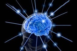 Les jeux vid&eacute;o font augmenter la taille du cerveau humain | Innovation & Technology | Scoop.it