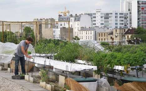 Agriculture : le modèle prometteur des jardins sur les toits des villes | Paysage - Environnement | Scoop.it