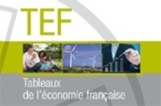 Publication Insee - Tableaux de l'Économie Française 2016 | Veille territoriale AURH | Scoop.it