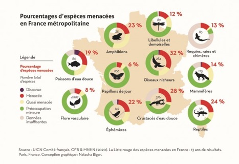 Journée mondiale des espèces menacées – Education au Développement Durable | Variétés entomologiques | Scoop.it