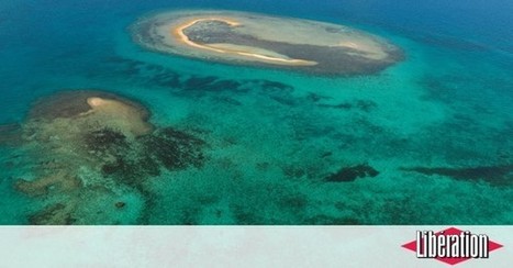 Lauréate des «Territoires d’innovation», la Calédonie mise sur la mer de Corail - Libération | Biodiversité | Scoop.it