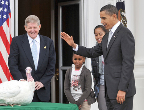 Free Bird: The History of Presidential Turkey Pardoning - Mental Floss | Human Interest | Scoop.it