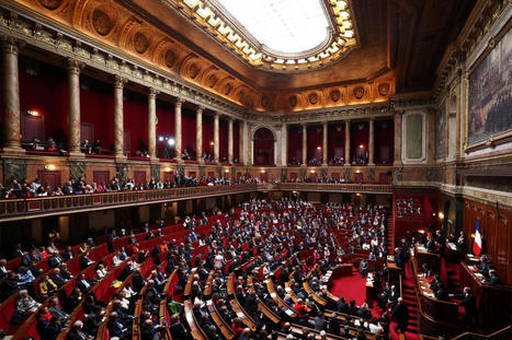 La France devient le premier pays au monde à inscrire l'IVG dans sa Constitution | EuroMed égalité hommes-femmes | Scoop.it