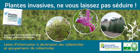 Newsletter N°4 - septembre 2016 - Cen Centre-Val de Loire | Biodiversité | Scoop.it