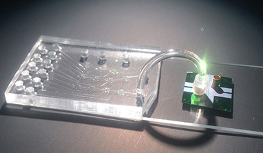 Micro/Optofluidic Chip Detects Ebola Faster, Easier Than PCR | In-Vitro Diagnostic | Scoop.it