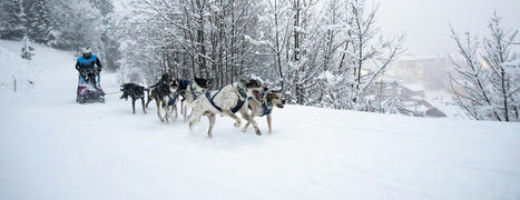 Un final en Is&egrave;re pour la 19e Grande Odyss&eacute;e | Made in isere - 7 en 38 | Scoop.it