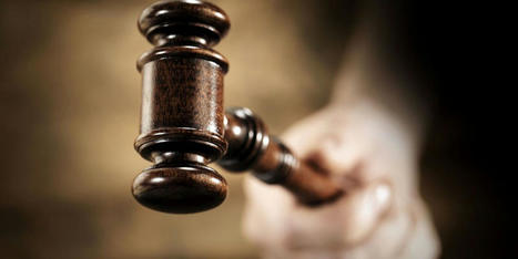 'Trampling on the Constitution': Report claims even GOP-appointed judges fed up with Trump - Raw Story | Backstabber Watch | Scoop.it