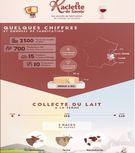 Les secrets de fabrication de la Raclette de Savoie | Lait de Normandie... et d'ailleurs | Scoop.it
