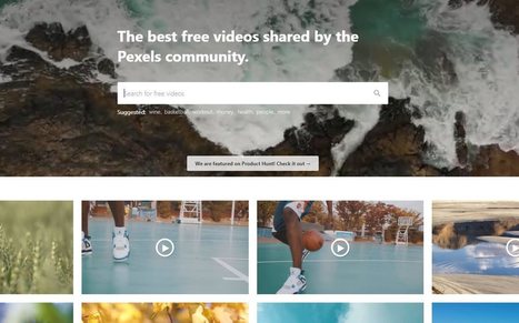 Pexels ya ofrece vídeos gratis | Educación, TIC y ecología | Scoop.it