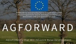AGFORWARD, un projet européen pour la promotion de l'agroforesterie | Paysage - Agriculture | Scoop.it