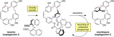 Enantiopure isoplagiochin C by directed deracemization through axis-to-axis chirality transfer | Natural Products Chemistry Breaking News | Scoop.it