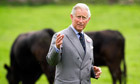Prince Charles:  'If I didn't do this, who would?' | Plan&egrave;te DDurable | Scoop.it