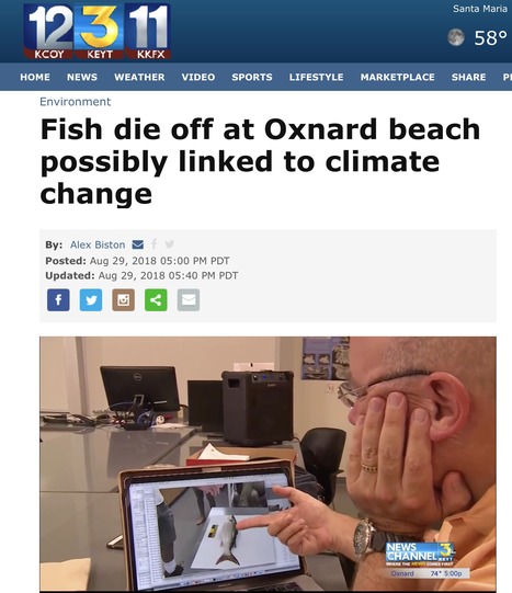 A Fish Kill Summer | Coastal Restoration | Scoop.it