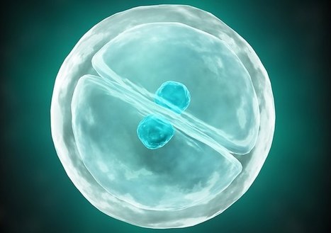 L’OGM humain ou le rougissement de la technoscience | Science & Transhumanisme | Scoop.it