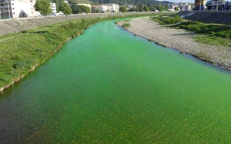 Environnement : des rivi&egrave;res en vert fluo partout en France | Biodiversit&eacute; | Scoop.it