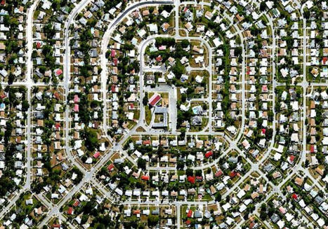 L&rsquo;arbre, le maire et le terrain constructible - La Vie des id&eacute;es | Urbanisme - Am&eacute;nagement | Scoop.it