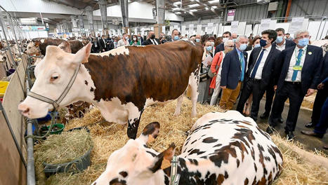 Au Space à Rennes, le ministre de l’Agriculture a pris son temps | Actualité Bétail | Scoop.it