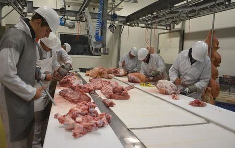 Inscriptions jusqu&rsquo;&agrave; vendredi, pour visiter l&rsquo;entreprise Berry Viandes et profiter d'un march&eacute; de producteurs - Vierzon (18100) - Le Berry R&eacute;publicain | La Gazette des abattoirs | Scoop.it