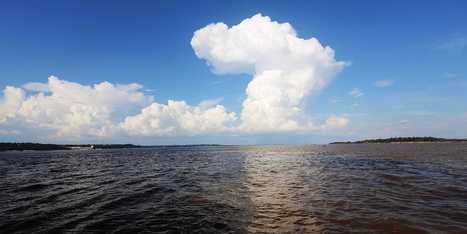 Scientists Have Finally Figured Out Why The Amazon River Runs Backward | Travel | Scoop.it