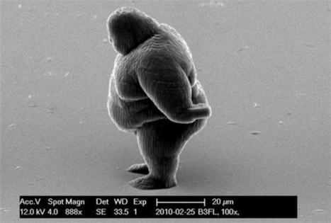 3D-Printed Nano Figure of Obese Human | Amazing Science | Scoop.it