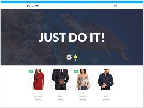 OceanWP : Guide pour apprendre à utiliser ce thème WordPress | WordPress France | Scoop.it