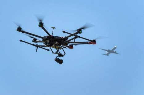 Chypre: un drone pour lutter contre les braconneurs d'oiseaux | Les oiseaux au gré du vent | Scoop.it