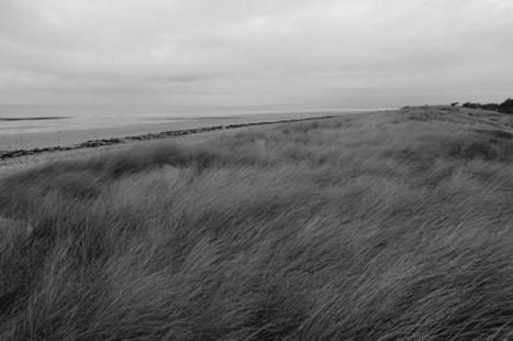 ViewChat. Outil collaboratif sur iPad - Les Outils Collaboratifs | UseNum - Education | Scoop.it