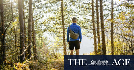 Forest Bathing: How to incorporate this Japanese practice into your bush walks | Physical and Mental Health - Exercise, Fitness and Activity | Scoop.it