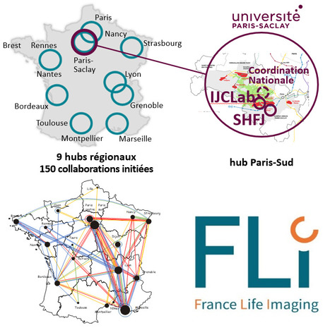 FOCUS PLATEFORME : La coordination nationale des plateformes françaises d’imagerie médicale pour la recherche est hébergée à Paris-Saclay (CEA & UPSaclay) | Life Sciences Université Paris-Saclay | Scoop.it