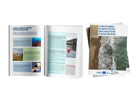Redynamisation de la gouvernance Natura 2000 : un guide à destination des membres de Comité de Pilotage | Biodiversité | Scoop.it