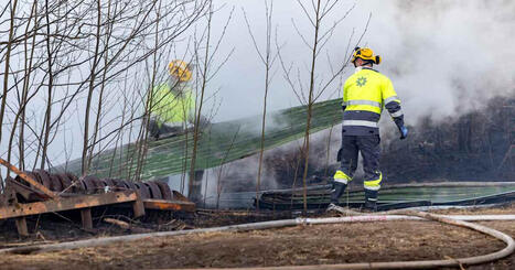 M&aring;nga skogsbr&auml;nder p&aring; grund av bl&aring;sten | Inrikes | 1Uutiset - Lukemisen t&auml;hden | Scoop.it