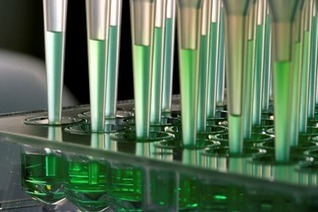 Analytical Testing Strategies For Clinical And Commercial Operations | Pharmatech Associates articles: technical expertise for the regulated life science industry | Scoop.it
